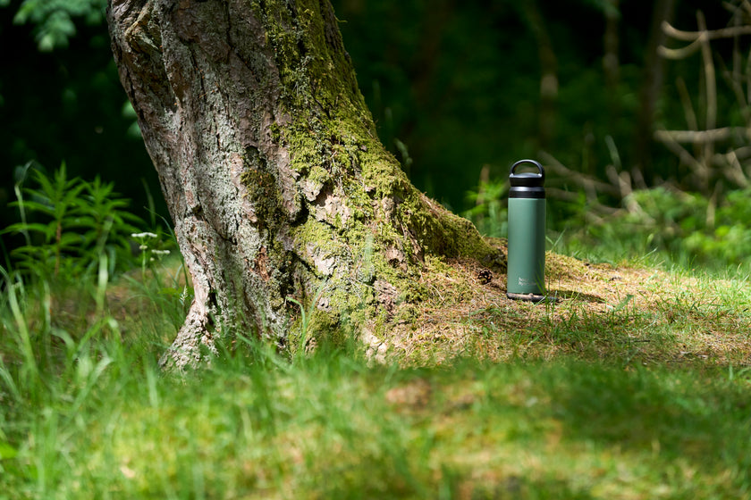 Green bottle against a mossy tree